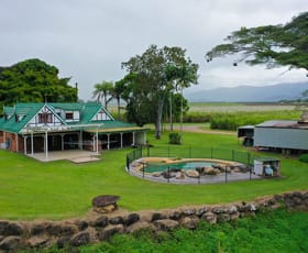 Rural / Farming commercial property sold at 445 Gray Road Green Hill QLD 4865
