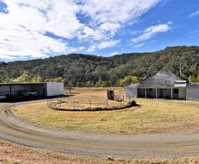 Rural / Farming commercial property for sale at Wollombi Road Wollombi NSW 2325