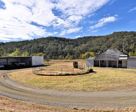 Rural / Farming commercial property for sale at 2576 Wollombi Road Wollombi NSW 2325