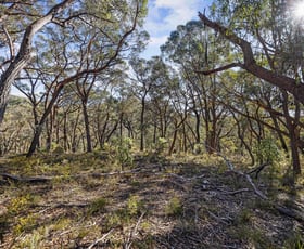 Rural / Farming commercial property sold at 976 Mares Forest Road Taralga NSW 2580