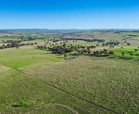 Rural / Farming commercial property sold at 802 Pine Mount Road Woodstock NSW 2793