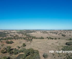 Rural / Farming commercial property for sale at 874 Gournama Rd, WARIALDA Inverell NSW 2360