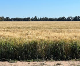 Rural / Farming commercial property for sale at 1152 Millears Road Deniliquin NSW 2710