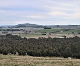 Rural / Farming commercial property sold at Lot 4 Eastern Peake Road Mount Bolton VIC 3352