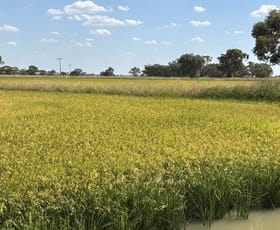 Rural / Farming commercial property for sale at 495 Burraboi Road Barham NSW 2732