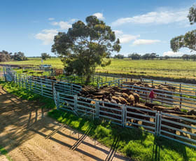 Rural / Farming commercial property for sale at 495 Burraboi Road Barham NSW 2732