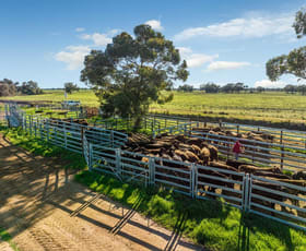 Rural / Farming commercial property for sale at 495 Burraboi Road Barham NSW 2732