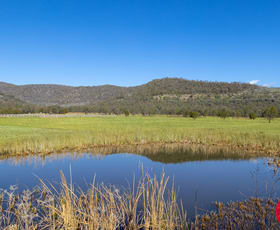 Rural / Farming commercial property sold at 891 Milbrodale Road Broke NSW 2330
