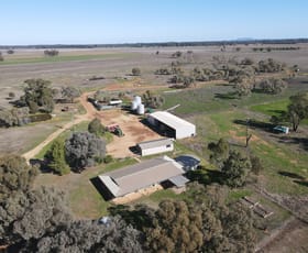 Rural / Farming commercial property sold at 4841 Bedgerabong Road Warroo NSW 2871