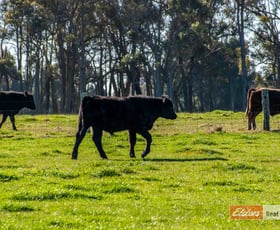 Rural / Farming commercial property sold at Lot 637 Plumer Road Mount Barker WA 6324