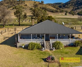 Rural / Farming commercial property sold at 1672 Castlereagh Highway Mudgee NSW 2850
