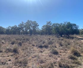 Rural / Farming commercial property sold at "NAMPARA" Burren Junction NSW 2386