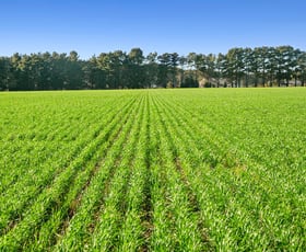 Rural / Farming commercial property for sale at 1412 Bannockburn-Shelford Road Teesdale VIC 3328