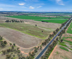 Rural / Farming commercial property for sale at 1111 Newell Highway Wyalong NSW 2671