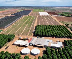 Rural / Farming commercial property for sale at 137 North River Road North Plantations WA 6701