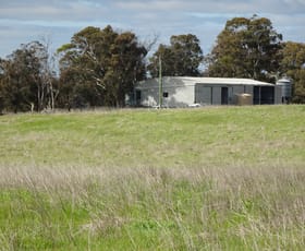 Rural / Farming commercial property sold at 3428 Williams-Kondinin Road Narrogin Valley WA 6312