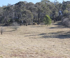 Rural / Farming commercial property sold at Lot 2 Old Western Road Rydal NSW 2790