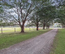 Rural / Farming commercial property for sale at 99 McGilchrist Road Eudlo QLD 4554