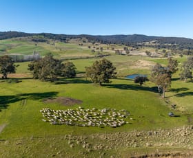 Rural / Farming commercial property sold at 635 Grove Creek Road Triangle Flat NSW 2795