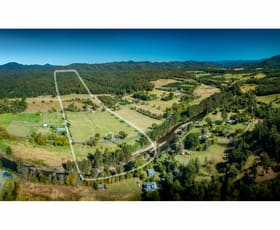 Rural / Farming commercial property for sale at 2331 Waterfall Way Bellingen NSW 2454
