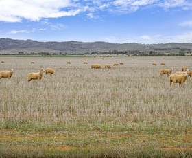 Rural / Farming commercial property sold at 'Cambalee' Minburra Road Orroroo SA 5431