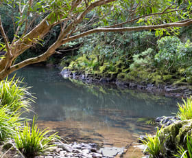 Rural / Farming commercial property sold at 40 Frog Hollow Forest Road Ulong NSW 2450
