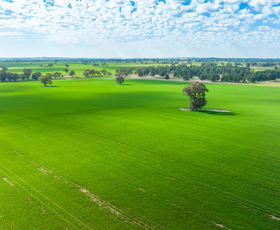 Rural / Farming commercial property for sale at 'Part Glenmoira'/524 Munyaplah Settlement Rd Alma Park NSW 2659