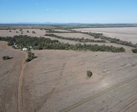 Rural / Farming commercial property sold at 1297 Romaka Road Biniguy NSW 2399