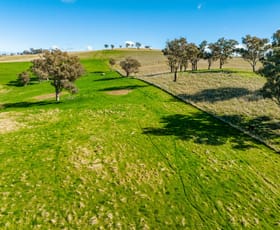 Rural / Farming commercial property sold at 'Our Country' 77 Walli Road Woodstock NSW 2793