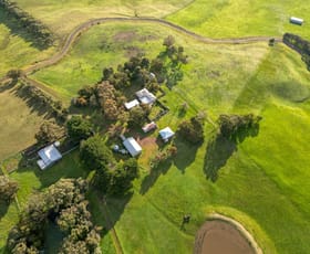 Rural / Farming commercial property sold at 60 Switchback Road Merino VIC 3310