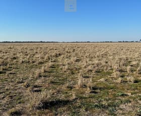 Rural / Farming commercial property sold at 119 Womera Creek Road Wee Waa NSW 2388