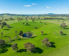 Rural / Farming commercial property sold at 382 Snake Creek Road Garland NSW 2797