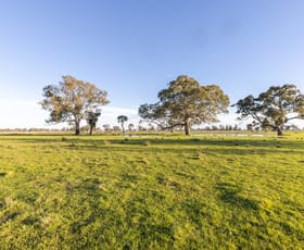 Rural / Farming commercial property sold at Lot 42A and 42B Davies Road Apsley VIC 3319