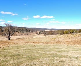 Rural / Farming commercial property sold at Lot 13 Hains Road Kybeyan NSW 2631