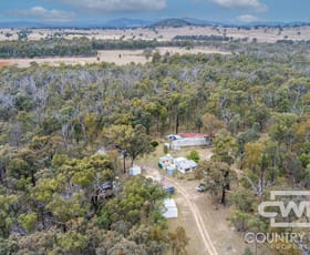 Rural / Farming commercial property sold at 137 Aberdeen Road Gilgai NSW 2360