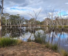 Rural / Farming commercial property sold at 0 Bonnie Doon Road Leyburn QLD 4365