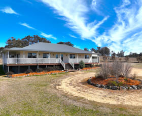 Rural / Farming commercial property sold at 142 Six Mile Road Dundee NSW 2370 Rural / Farming commercial property sold at 142 Six Mile Road Dundee NSW 2370