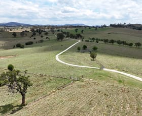 Rural / Farming commercial property sold at 148 Finns Road Tenterfield NSW 2372