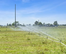 Rural / Farming commercial property sold at 7A & 9A Ada Street Singleton NSW 2330