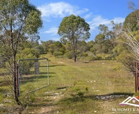 Rural / Farming commercial property sold at 7185 Murraylands Road Sunnydale SA 5353