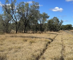 Rural / Farming commercial property for sale at 0 Zieman Street Bakers Bend QLD 4470