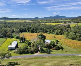 Rural / Farming commercial property sold at 403 Pinnacle-Septimus Road Pinnacle QLD 4741