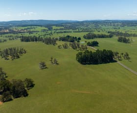 Rural / Farming commercial property for sale at 1195 Topdale Road Niangala NSW 2354