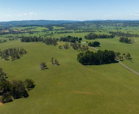 Rural / Farming commercial property sold at 1195 Topdale Road Walcha NSW 2354