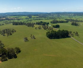 Rural / Farming commercial property for sale at 1195 Topdale Road Walcha NSW 2354