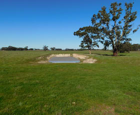 Rural / Farming commercial property sold at 693 Bangham Road Bangham SA 5268