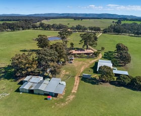 Rural / Farming commercial property sold at 462 Sims Lane Homebush VIC 3465