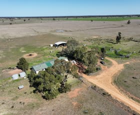 Rural / Farming commercial property for sale at 'West Tarrawonga' 56 Donnelly Road Eumungerie NSW 2822
