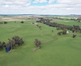 Rural / Farming commercial property sold at 870 South Dale Road Jelcobine WA 6306