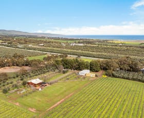 Rural / Farming commercial property sold at 3737 Main South Road Sellicks Hill SA 5174